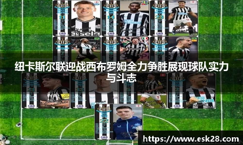 纽卡斯尔联迎战西布罗姆全力争胜展现球队实力与斗志